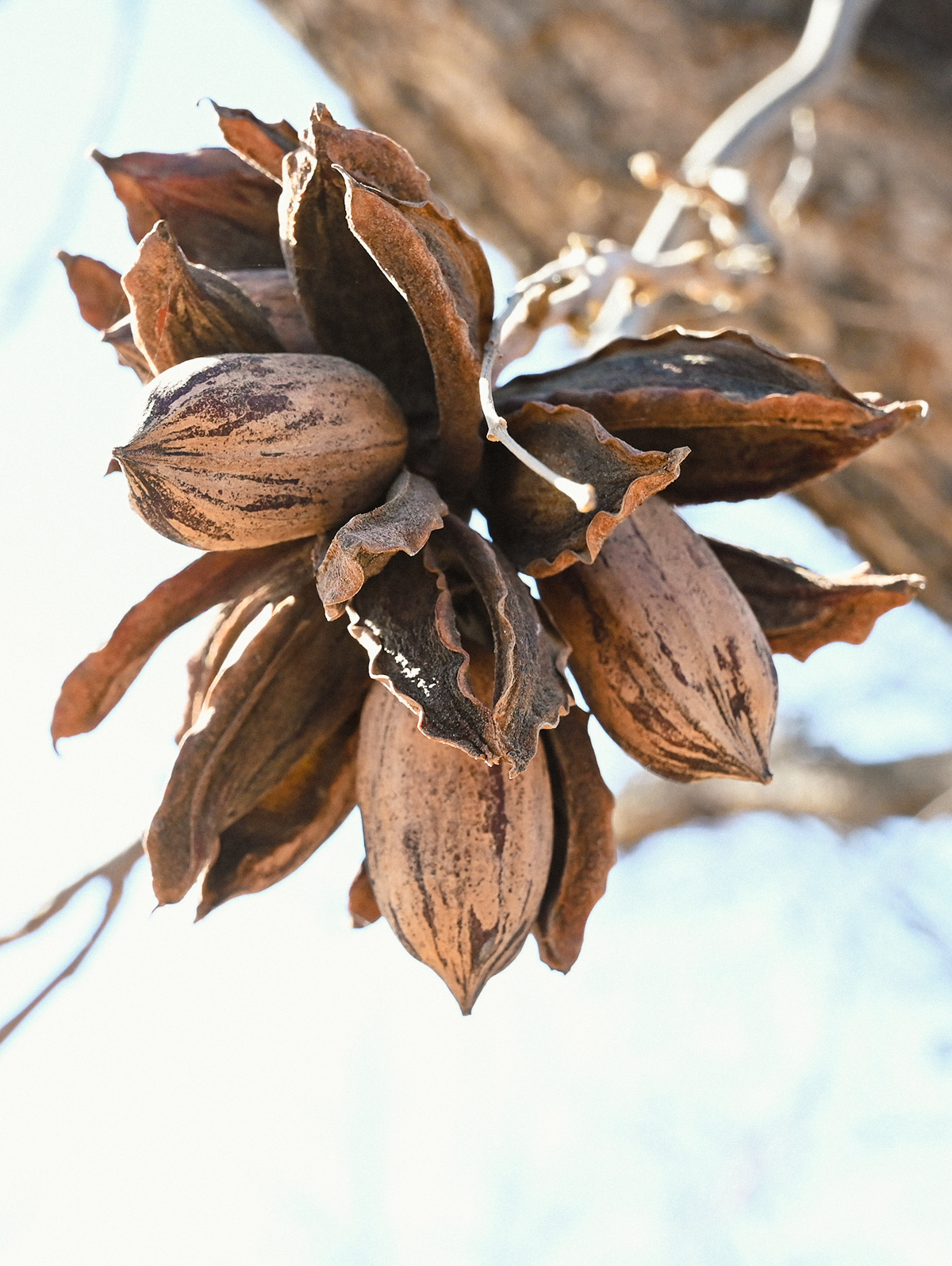 Harvest Season: When the Work Comes Full Circle